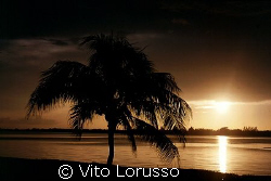Mexico - Cancun by Vito Lorusso 